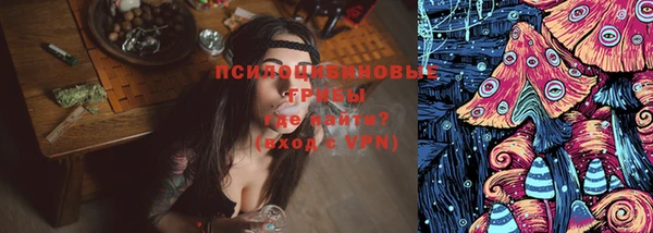mdpv Белокуриха